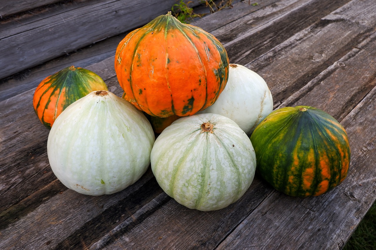 How to Create a Vegetable Patch in Your Backyard